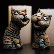 Форма два котика